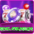 rss99 Gaming Premium