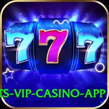 Rumi Slots VIP Casino App - 2