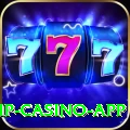 Rumi Slots VIP Casino App